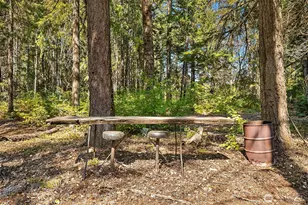 135 Rally Way, Easton, WA 98925 - Photo 32