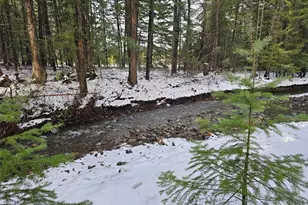 135 Rally Way, Easton, WA 98925 - Photo 2