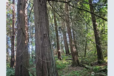 12624 183rd Avenue SW, Rochester, WA 98579 - Photo 12