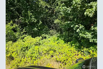 12624 183rd Avenue SW, Rochester, WA 98579 - Photo 10