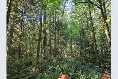 12624 183rd Avenue SW, Rochester, WA 98579 - Photo 20