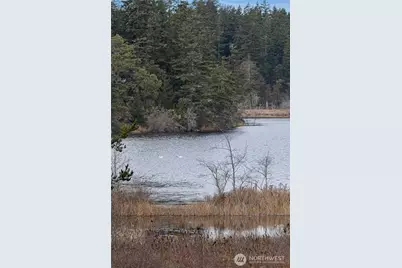 437 Woodpecker Lane, Friday Harbor, WA 98250 - Photo 28