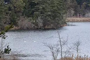 437 Woodpecker Ln, Friday Harbor, WA 98250 - Photo 28