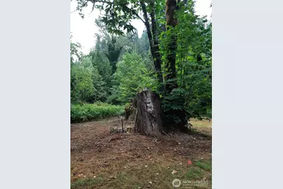 13816 White Falls Lane, Concrete, WA 98237 - Photo 12