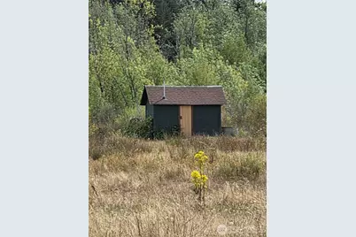 32002 48th Avenue S, Roy, WA 98580 - Photo 40
