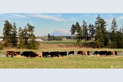 32002 48th Avenue S, Roy, WA 98580 - Photo 10