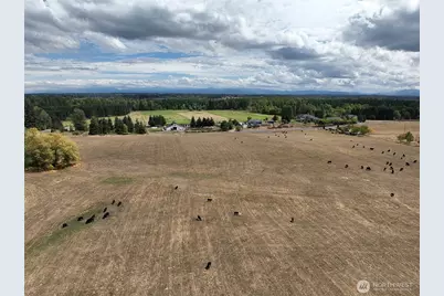 32002 48th Avenue S, Roy, WA 98580 - Photo 22