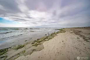 1600 W Ocean Ave, Westport, WA 98595 - Photo 40