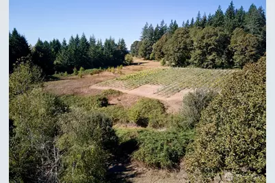 11700 NE 279th Street, Battle Ground, WA 98604 - Photo 34