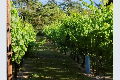 11700 NE 279th Street, Battle Ground, WA 98604 - Photo 2