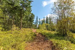 9999 Discovery Rd, Port Townsend, WA 98368 - Photo 1