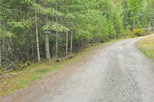 717 Dry Gulch Rd, Colville, WA 99114 - Photo 32