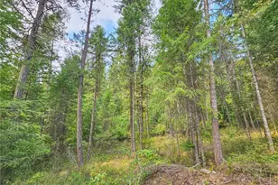 717 Dry Gulch Rd, Colville, WA 99114 - Photo 30