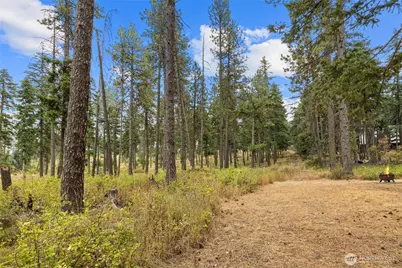 371 Eastgate Road, Cle Elum, WA 98922 - Photo 30