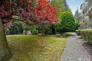 12034 15th Ave NE, Seattle, WA 98125 - Photo 24