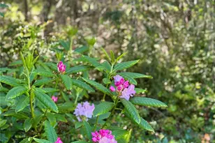 125 Parker Woods Ln, Coupeville, WA 98239 - Photo 34