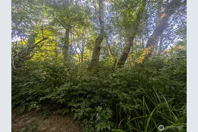 999 Whitcomb-Dimmel Road, Forks, WA 98331 - Photo 16