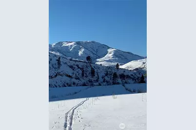 385 Highway 153, Pateros, WA 98846 - Photo 8