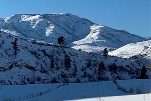 385 Hwy 153, Pateros, WA 98846 - Photo 8