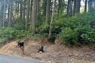 700 E Vine Maple Ln, Union, WA 98592 - Photo 14