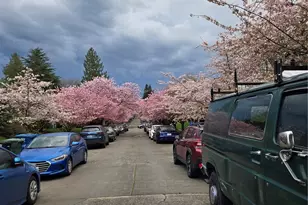 1159 NE 55th St, Seattle, WA 98105 - Photo 24