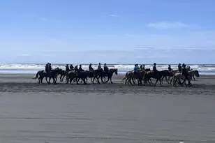 387 Duck Lake Dr NE, Ocean Shores, WA 98569 - Photo 32