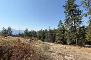 167 Excelsior Way, Curlew, WA 99118 - Photo 36