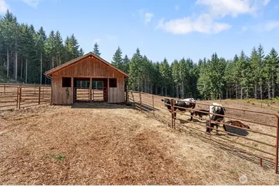 248 Crego Hill Road, Chehalis, WA 98532 - Photo 22
