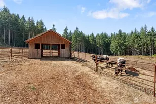 248 Crego Hill Rd, Chehalis, WA 98532 - Photo 22