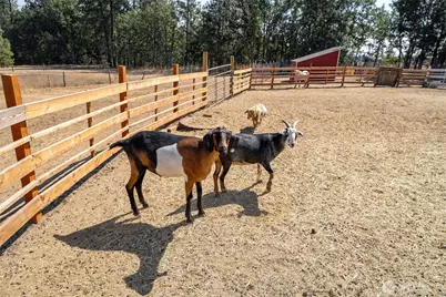 2147 Glenwood Highway, Goldendale, WA 98620 - Photo 26