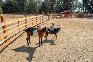 2147 Glenwood Hwy, Goldendale, WA 98620 - Photo 26