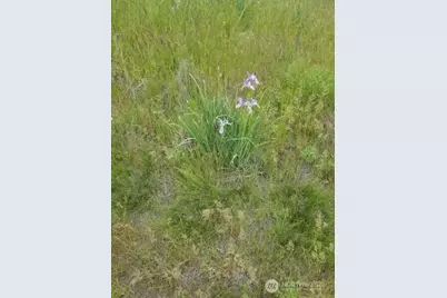 0 Earl Road N, Davenport, WA 99122 - Photo 14