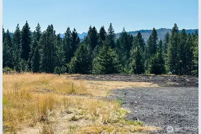 3 Xx Rockrose Dr (Lot 3), Ronald, WA 98940 - Photo 36