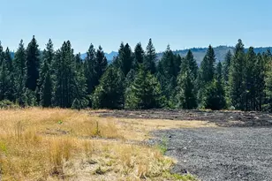 3 Xx Rockrose Dr (Lot 3), Ronald, WA 98940 - Photo 36