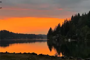 294 E Libby Rd, Shelton, WA 98584 - Photo 38