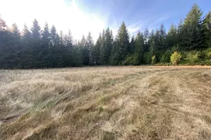 23801 NE Muncton Dr, Yacolt, WA 98675 - Photo 8