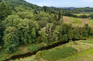 17 Mc Kinney Rd, Raymond, WA 98577 - Photo 34