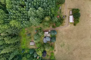 17 Mc Kinney Rd, Raymond, WA 98577 - Photo 6