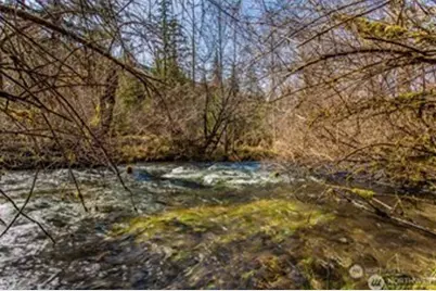 270 Skate Creek Road N, Ashford, WA 98304 - Photo 36