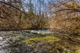 270 Skate Creek Rd N, Ashford, WA 98304 - Photo 36