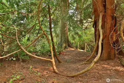 2151 North Bluff Road, Greenbank, WA 98253 - Photo 28