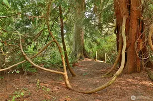 2151 N Bluff Rd, Greenbank, WA 98253 - Photo 28