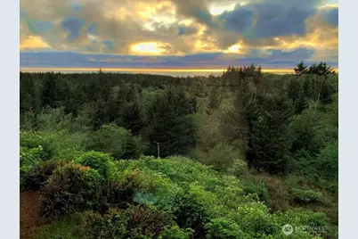 2815 Willows Road #230, Seaview, WA 98644 - Photo 2