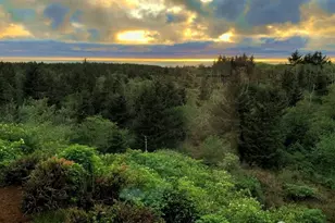 2815 Willows Rd, Seaview, WA 98644 - Photo 2