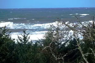 2815 Willows Rd, Seaview, WA 98644 - Photo 40