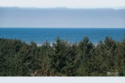 2815 Willows Road #230, Seaview, WA 98644 - Photo 2