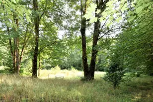 961 NE Snowcap Dr, Tahuya, WA 98588 - Photo 22