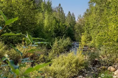 88 Tbd Gold Creek Road, Carlton, WA 98814 - Photo 32