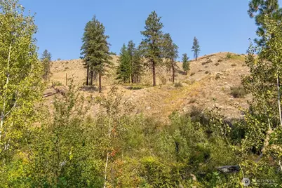 88 Tbd Gold Creek Road, Carlton, WA 98814 - Photo 6