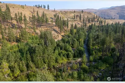 88 Tbd Gold Creek Road, Carlton, WA 98814 - Photo 10